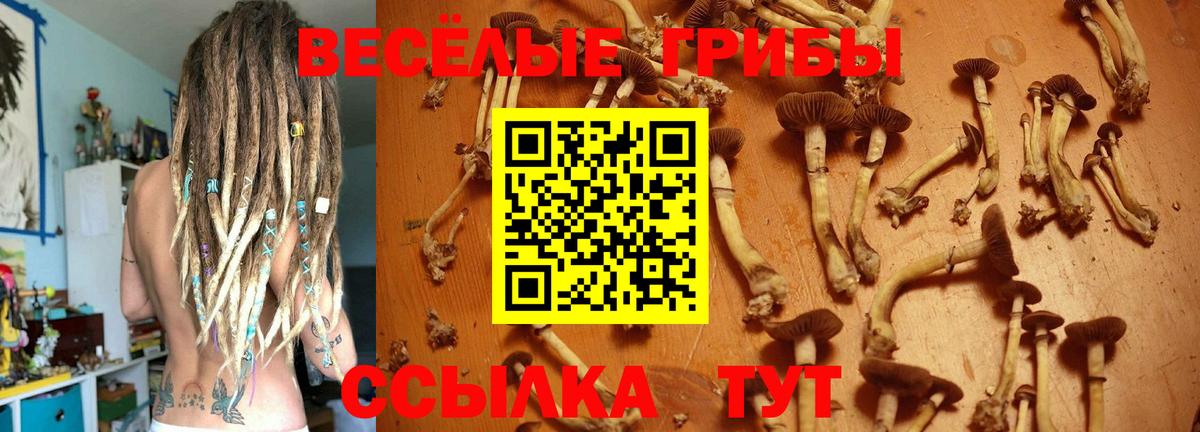 Псилоцибиновые грибы Magic Shrooms  Галлюциногенные грибы мухоморы  Вход с VPN  Елизово 